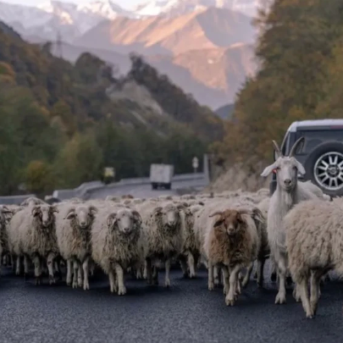 Путешествие по Осетии с поездкой в Грозный и к Эльбрусу