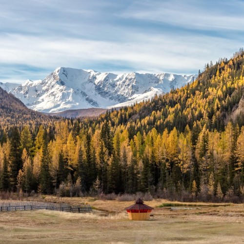 Интернет-детокс и отдых от забот и суеты в горах Алтая