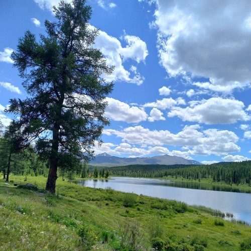 Горные перевалы и бирюзовые реки Алтая