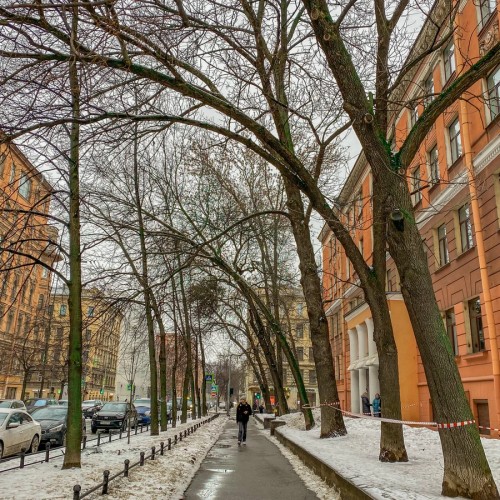 Блокадный Васильевский остров — в мини-группе