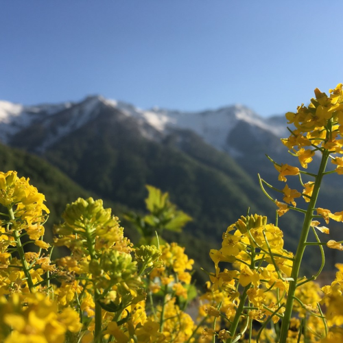 Джип-тур в горах Красной Поляны: 2 походных дня с палатками и рюкзаками, экскурсии и «Роза Хутор»
