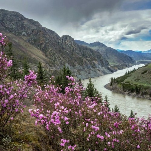 Горные перевалы и бирюзовые реки Алтая