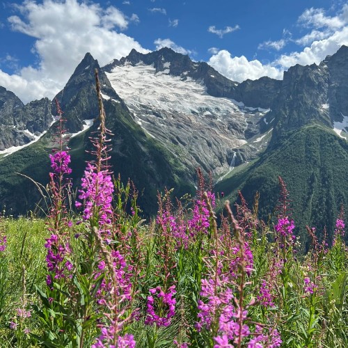 Экспресс-трип в Домбай с лёгкими треккингами: Алибекский водопад и Мусса-Ачитарские озёра