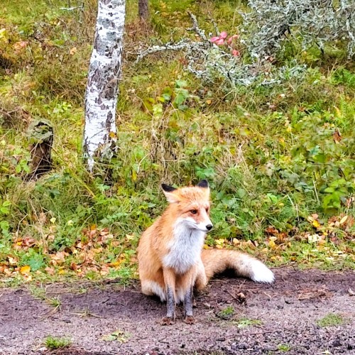 Первый раз в Калининград: истории знаковых мест и редко посещаемых локаций