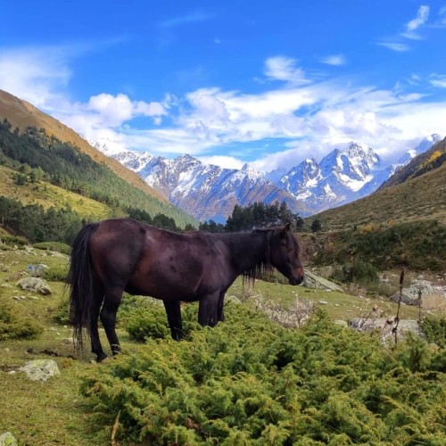 Лёгкий треккинг в Приэльбрусье с проживанием в гостинице