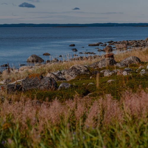 Путешествие на Соловки: погружение в историю, прогулки на катере, лодке и пешком