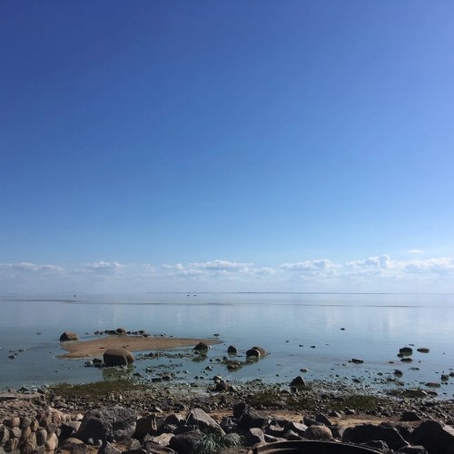 Оллинпяя — заповедник старинных дач