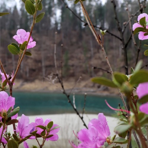 Алтайские чудеса: водопады, горы, озёра и марсианские пейзажи в мини-группе