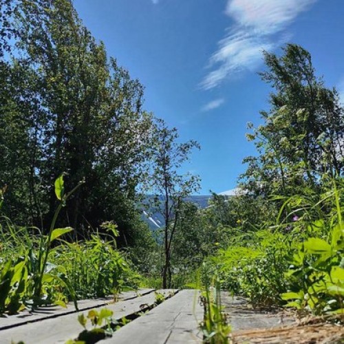 Путешествие в Русскую Арктику с морской прогулкой: Териберка, Мурманск, Сейдозеро и Хибины