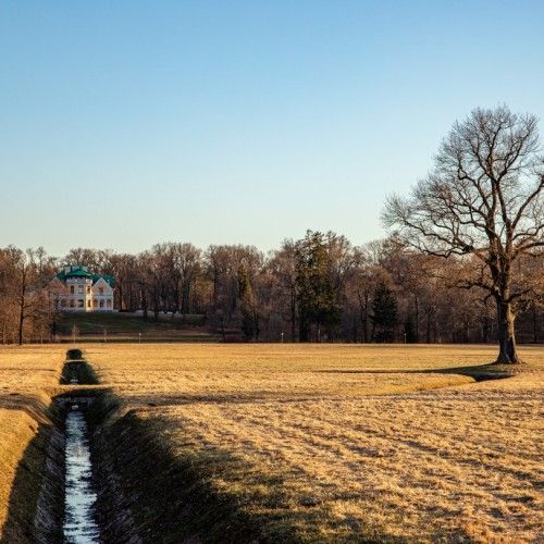 Утончённая Александрия: камерное путешествие из Петербурга