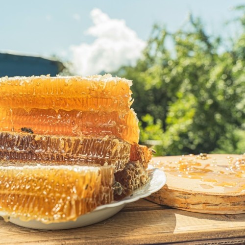 Родные просторы вблизи златоглавой: древние города, мастер-классы, застолья и отдых на пасеке