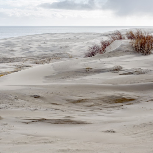 Гранд-тур по Калининграду и области с выбором экскурсий