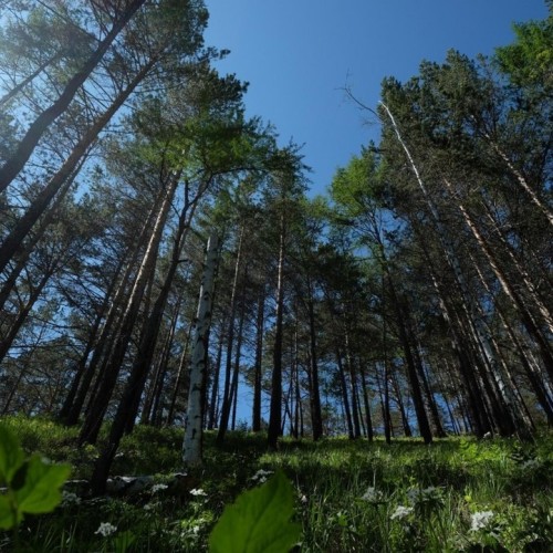 Байкальский калейдоскоп и лёгкие треккинги: Иркутск, Листвянка, Малое Море