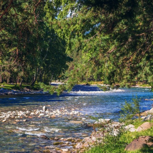 Большое путешествие по Горному Алтаю