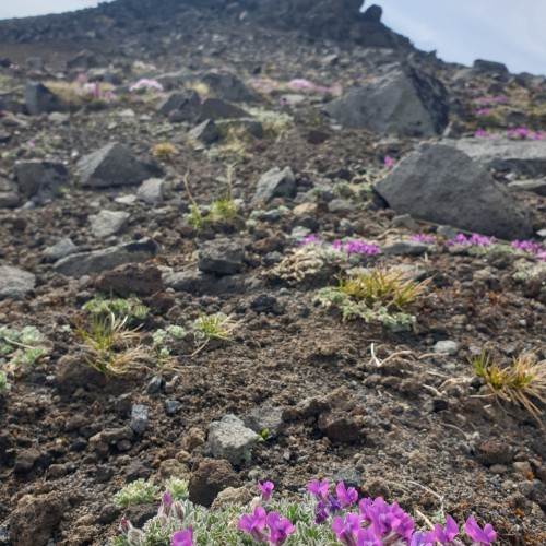 Камчатка в мини-группе: перевалы, бухты, сопки и купание в природных источниках