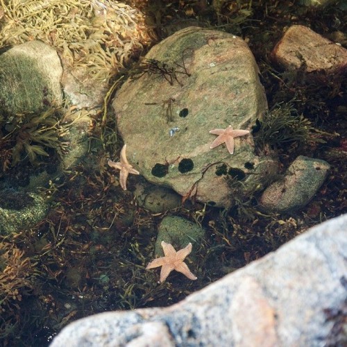 Перезагрузка на Соловках: тур для гостей из Москвы