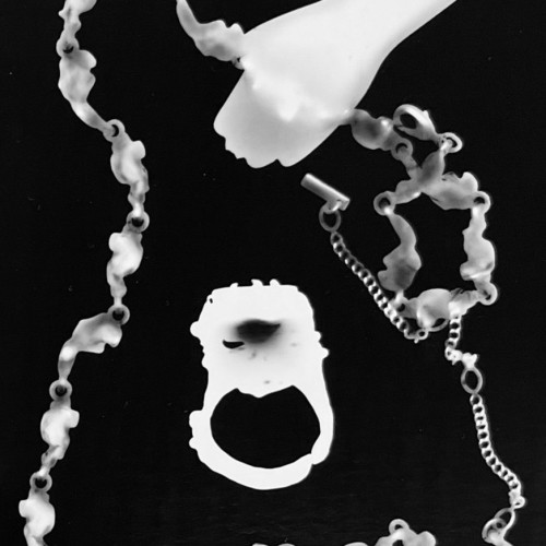 Фотография без камеры: мастер-класс по созданию фотограммы в Петербурге