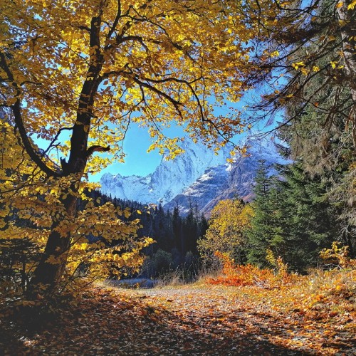 А давай в Домбай? Треккинг без рюкзаков