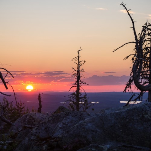 Поход-перезагрузка среди дикой природы Карелии в мини-группе (из Санкт-Петербурга)