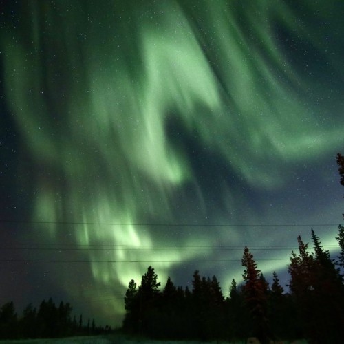 Главные локации и гастровпечатления Заполярья: тур в мини-группе по Мурманску и Териберке
