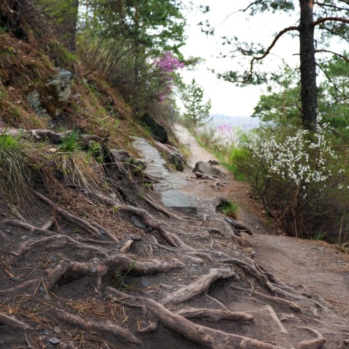 Экспресс-тур по Чемальскому району в мини-группе: природные жемчужины, легенды и лучшие виды