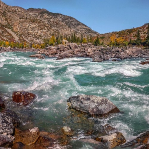 Алтайские места силы и древние петроглифы (в мини-группе)