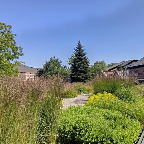 Тихий центр Петербурга: прогулка по Коломне и её окрестностям