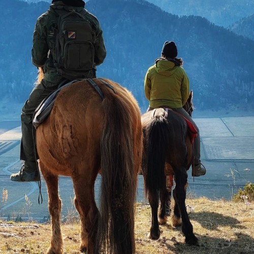 Конный тур для новичков по осеннему Алтаю с проживанием на базе. Всё включено