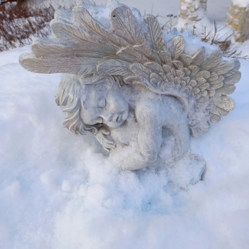 Приморский Парадиз — Сестрорецк, Репино, Комарово и Зеленогорск