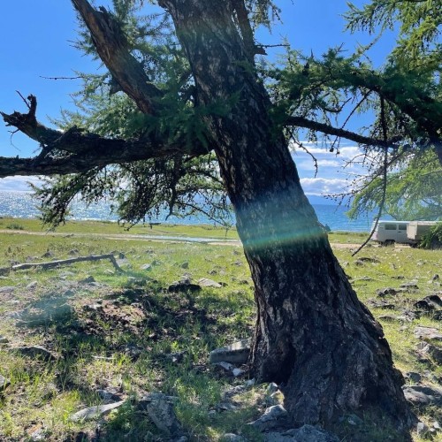 Два глубочайших озера-брата: путешествие на север Монголии и на Ольхон