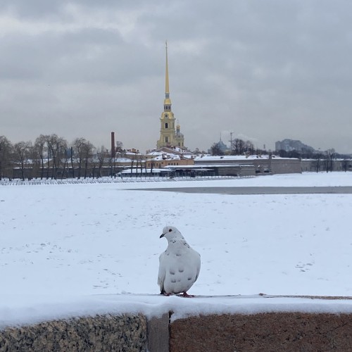 «Петропавловка» — начало всех начал