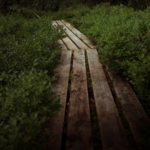 Удивительный Кольский: Сейдозеро, полуостров Средний и Териберка