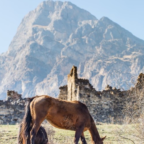 Большой релакс-тур 2 в 1: Ингушетия и Осетия, экскурсии по главным местам и 3 дня отдыха в термах