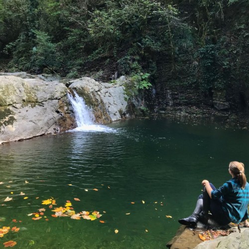 Приключения на лошадях в Сочи для новичков и опытных: по ущельям, долинам и лесам