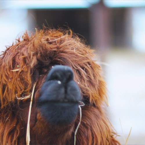 Выходные в парке «Рускеала» и городе Сортавала: 3 варианта маршрута