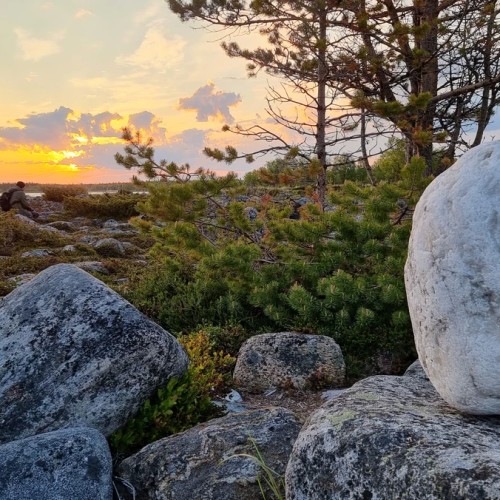 Ваше персональное путешествие вглубь веков: петроглифы, Кижи и Соловецкий монастырь