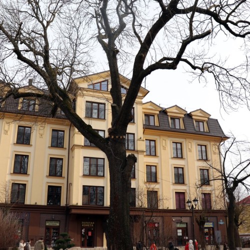 Комфорт-тур в Калининград в мини-группе с проживанием в глэмпинге: экскурсии и дегустация