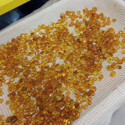 Встречай, янтарный край: индивидуальное путешествие по городам Калининградской области