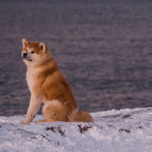 Главные места Кольского полуострова: Мурманск и Териберка