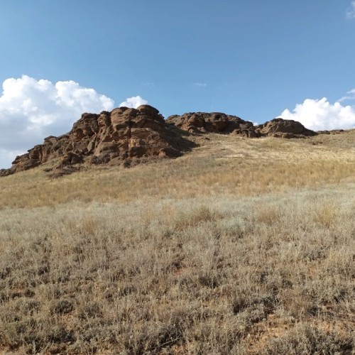 Экспресс-тур в Астрахань: цветущие маковые поля, озеро Баскунчак и песчаный бархан Большой брат