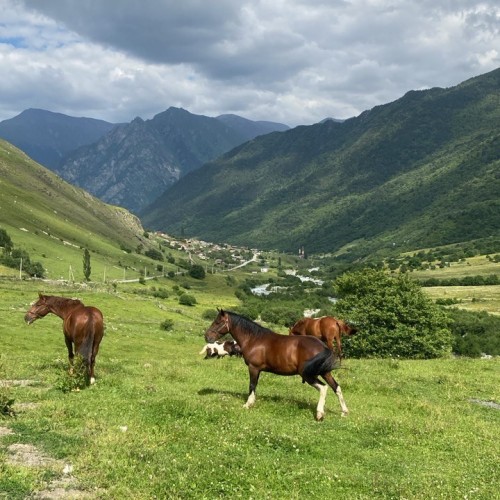 Персональная поездка по Дигории: природа и отдых в термальных источниках