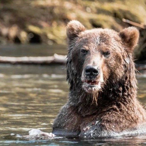 Топовые места Камчатки: налегке в мини-группе
