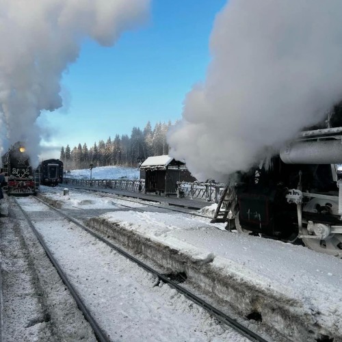 Персонально по Карелии: Марциальные воды, парк викингов «Бастион», «Рускеала» и другие локации