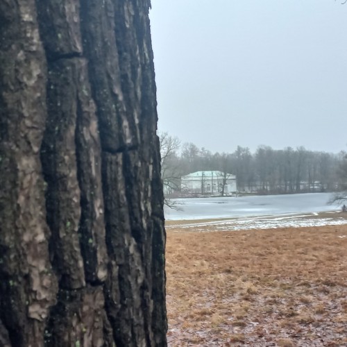 Из Петербурга — в Екатерининский парк