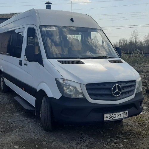 В Пушкин — по дворцам!