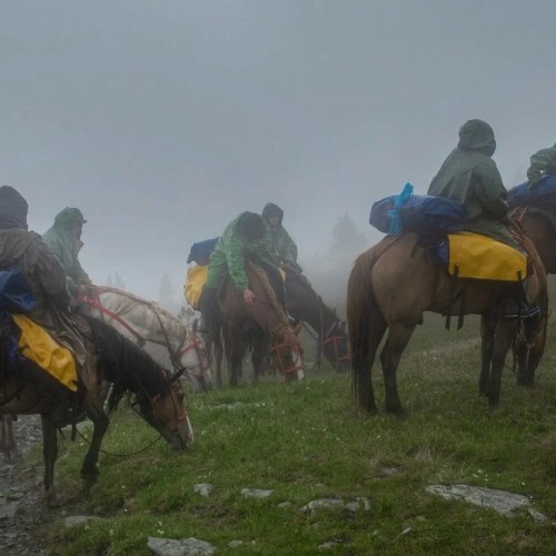 Верхом по Алтаю: конный тур для новичков с палатками (всё включено)