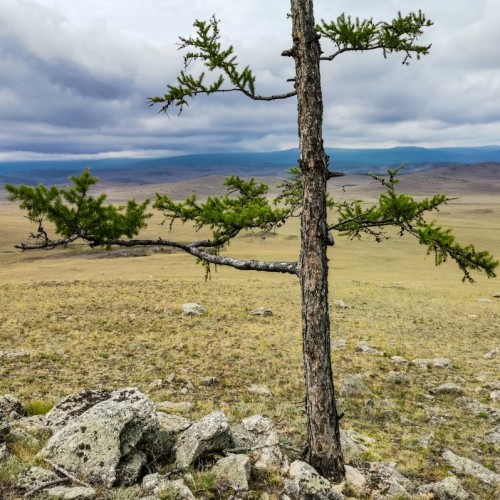 Тажеранские степи и Байкал: автопутешествие в мини-группе с прогулками и выездом из Иркутска