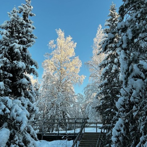 Персонально по Карелии: Марциальные воды, парк викингов «Бастион», «Рускеала» и другие локации