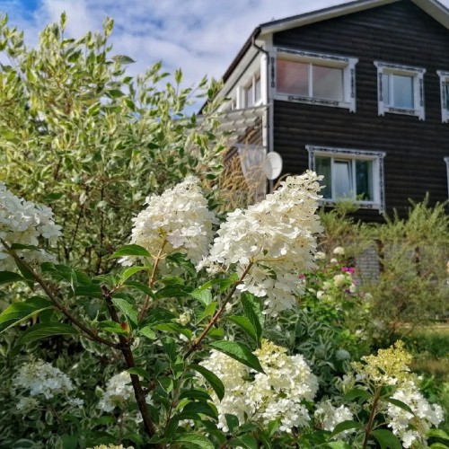 Перезагрузка в Приладожье с йогой, баней, сибирским чаном и сапами (всё включено)