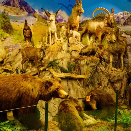 50 оттенков золота: путешествие по сентябрьскому Алтаю в мини-группе